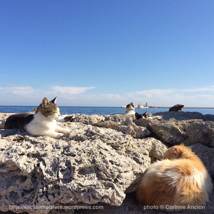 Escale à Rhodes - Grèce