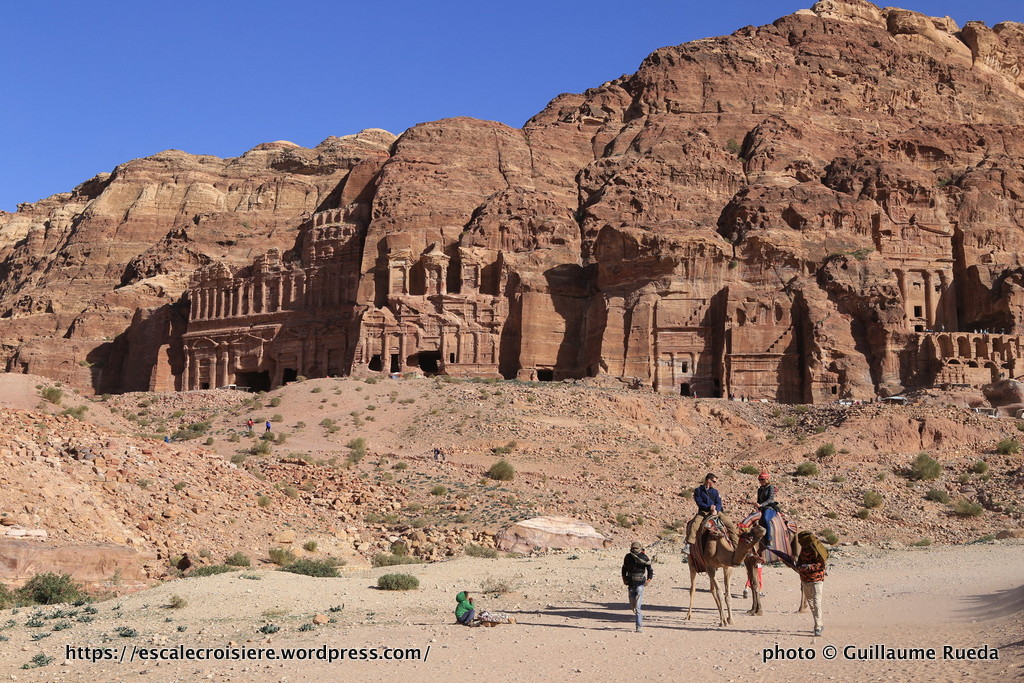 Dromadaires à Pétra