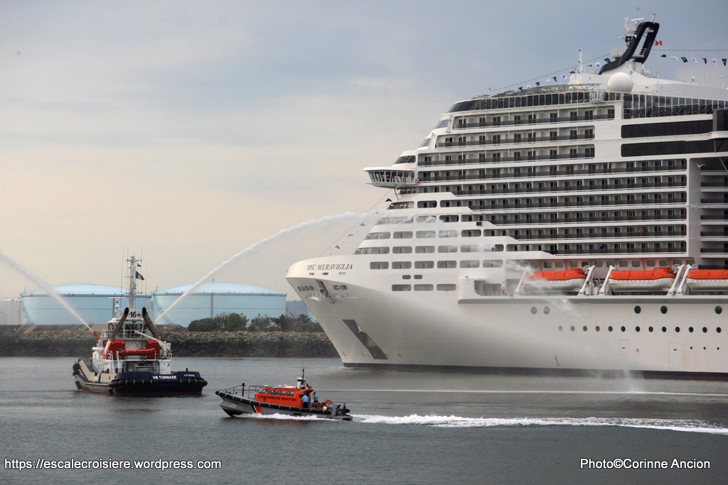 2017-06-02 MSC Meraviglia