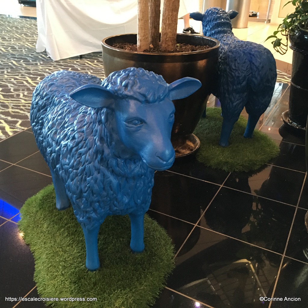 Independence of the Seas - Les moutons de la salle de sport
