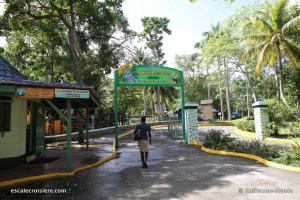 Ocho Rios - Jamaïque - Dunn's River Fall