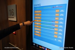 Norwegian Bliss - Borne tactile