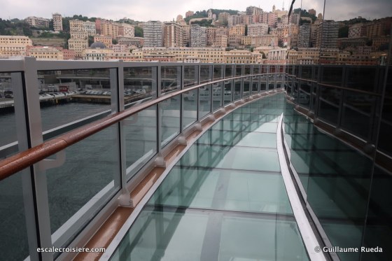 MSC Seaview - Infinity Bridge