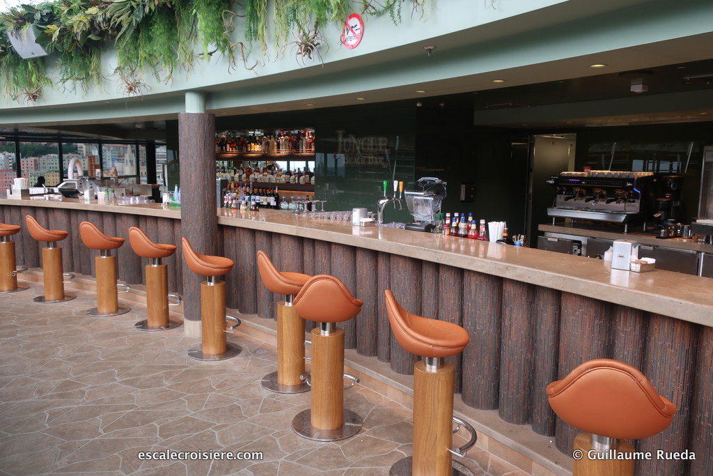 MSC Seaview - Piscine Jungle Pool (1)