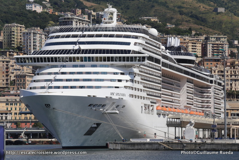 MSC Splendida