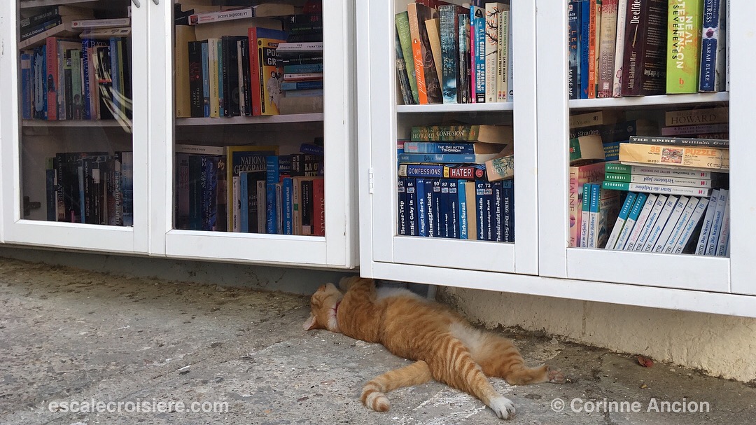 Patmos - Skala - Grèce