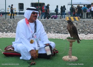 fauconnier - abu dhabi
