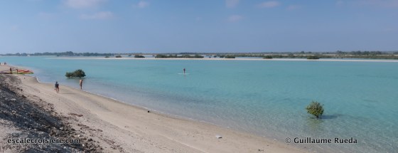 lagon sir bani yas