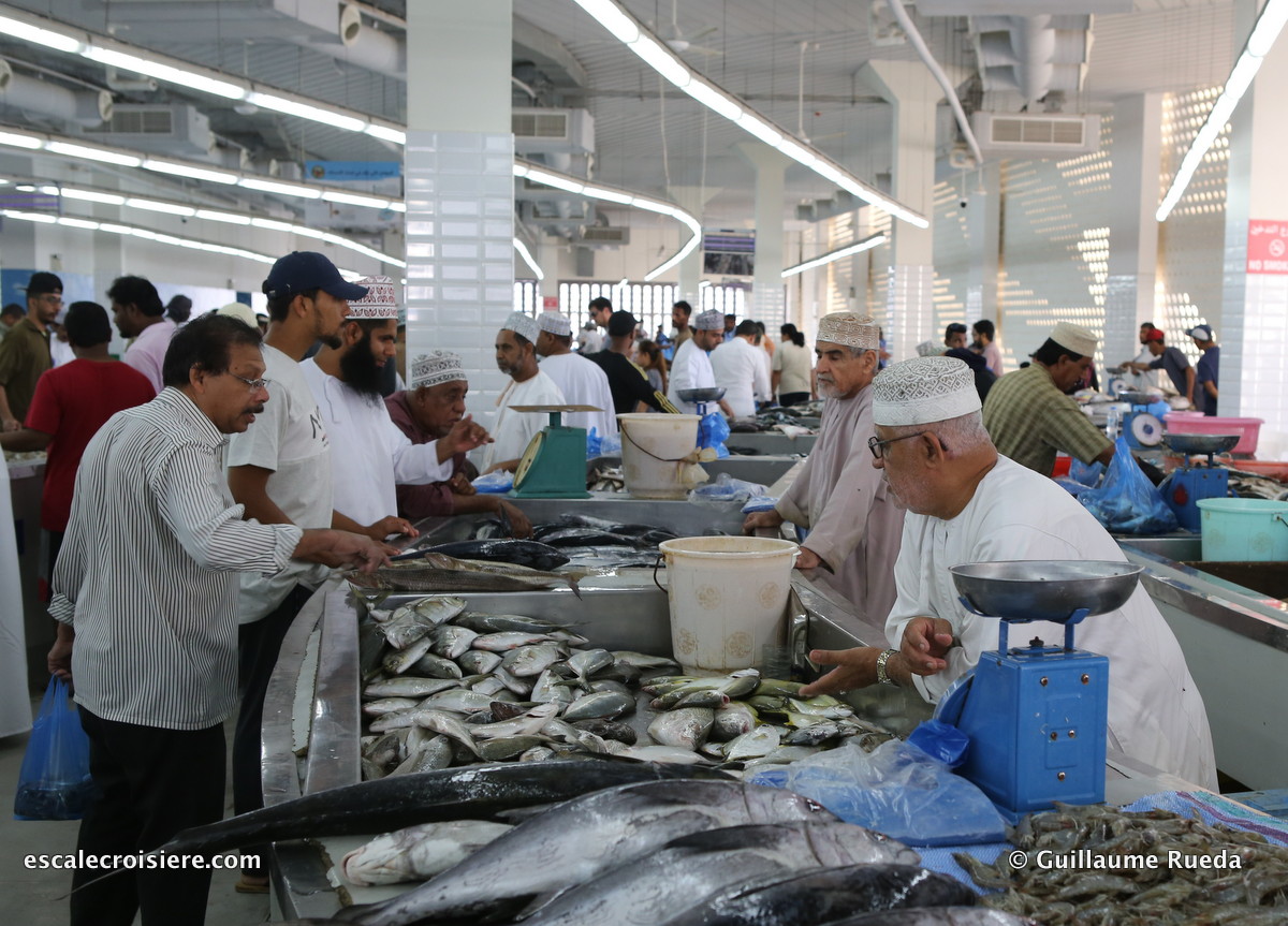 mascate - oman - marché aux poissons