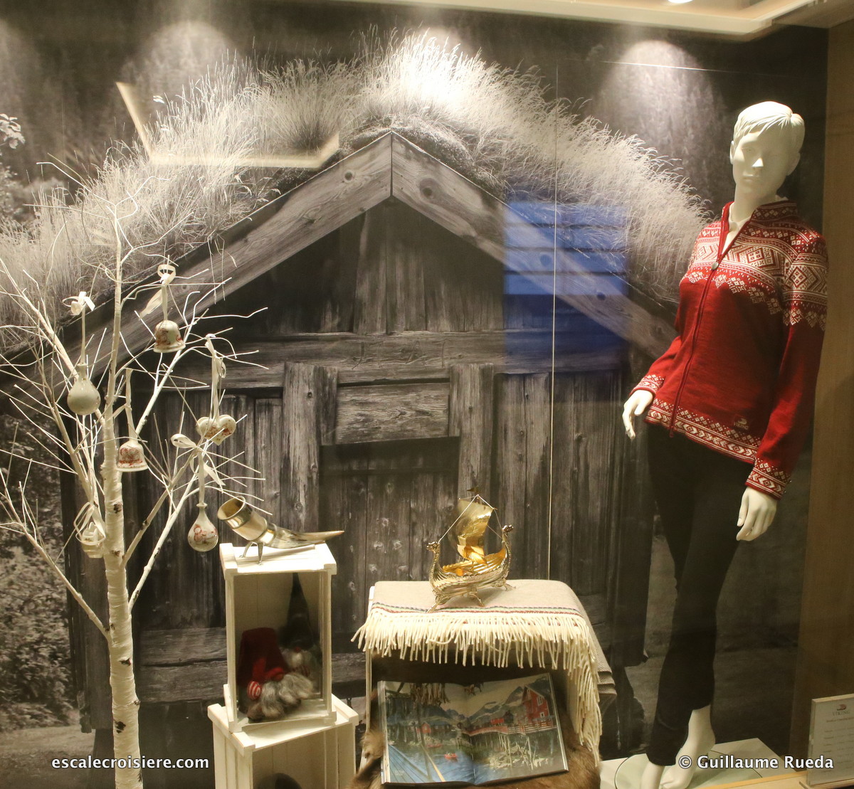 Viking Jupiter - Boutiques