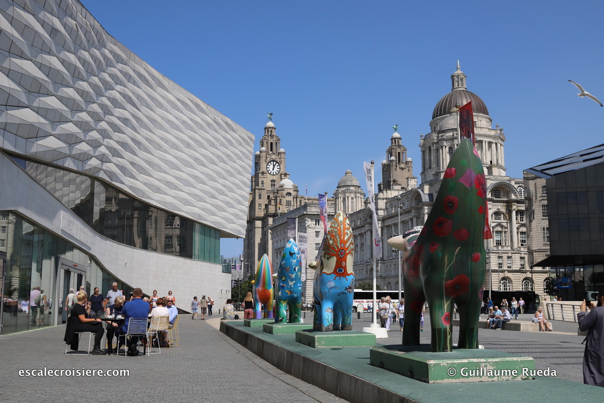 Musée de Liverpool