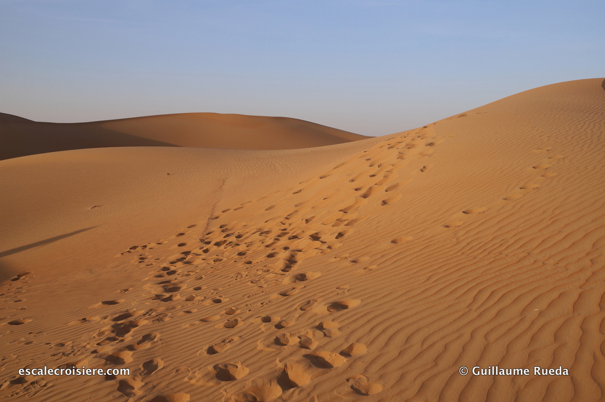 Abu Dhabi - Dunes et Désert en 4x4