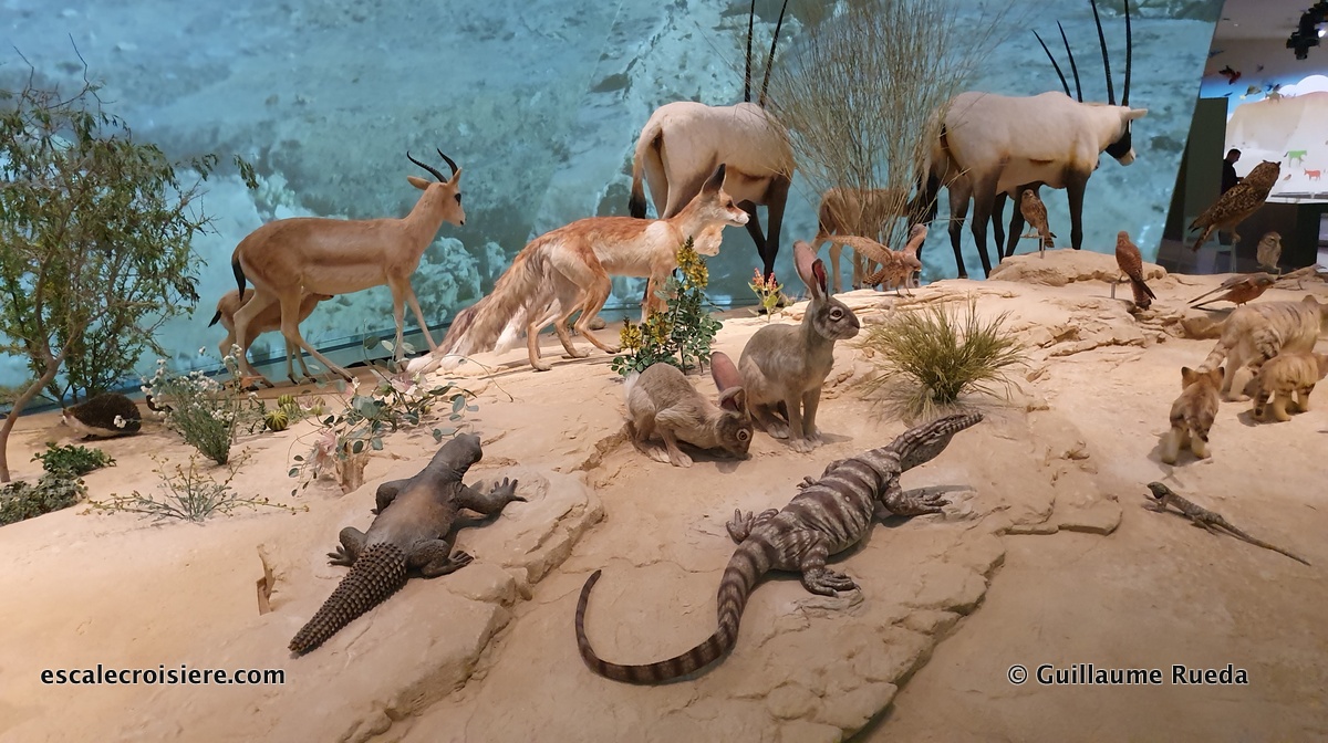 Doha - Musée National du Qatar