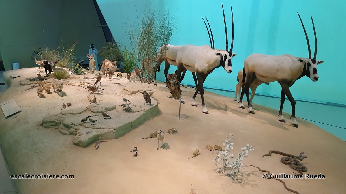 Doha - Musée National du Qatar