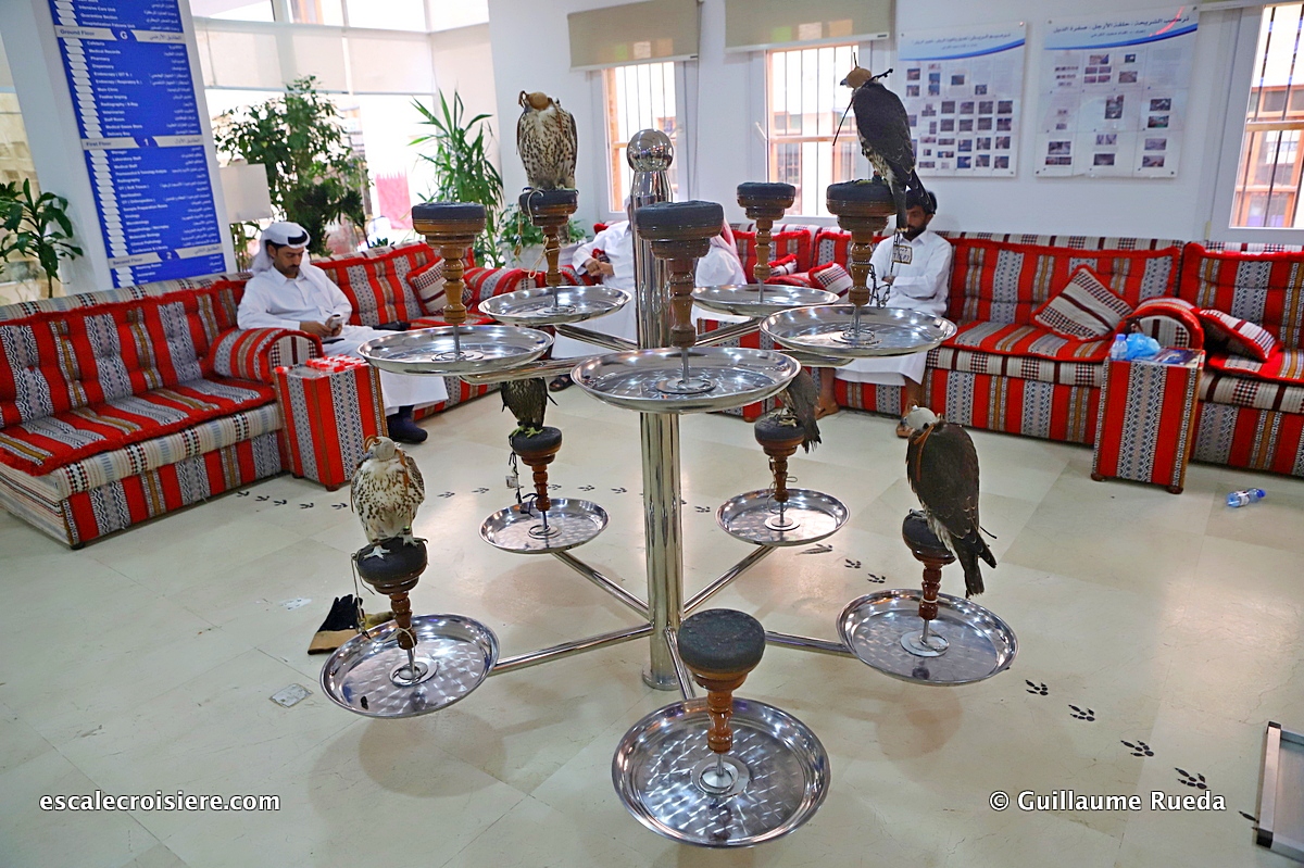 Doha - Qatar - Falcon hospital - Clinique faucons