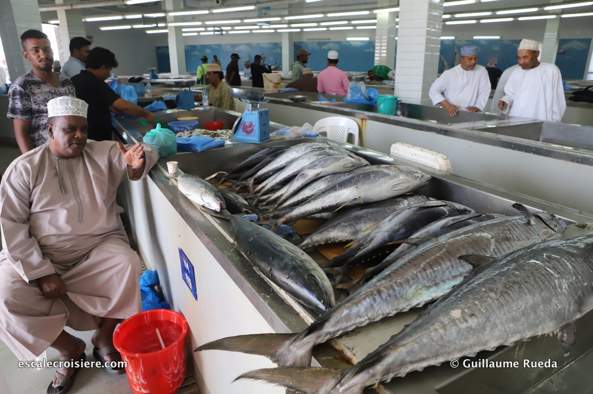 Mascate - Marché aux poissons