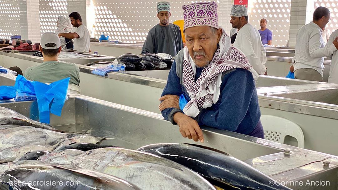 Mascate - Marché aux poissons