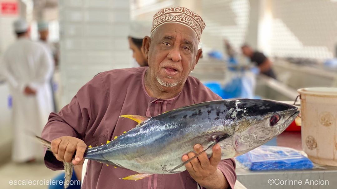 Mascate - Marché aux poissons