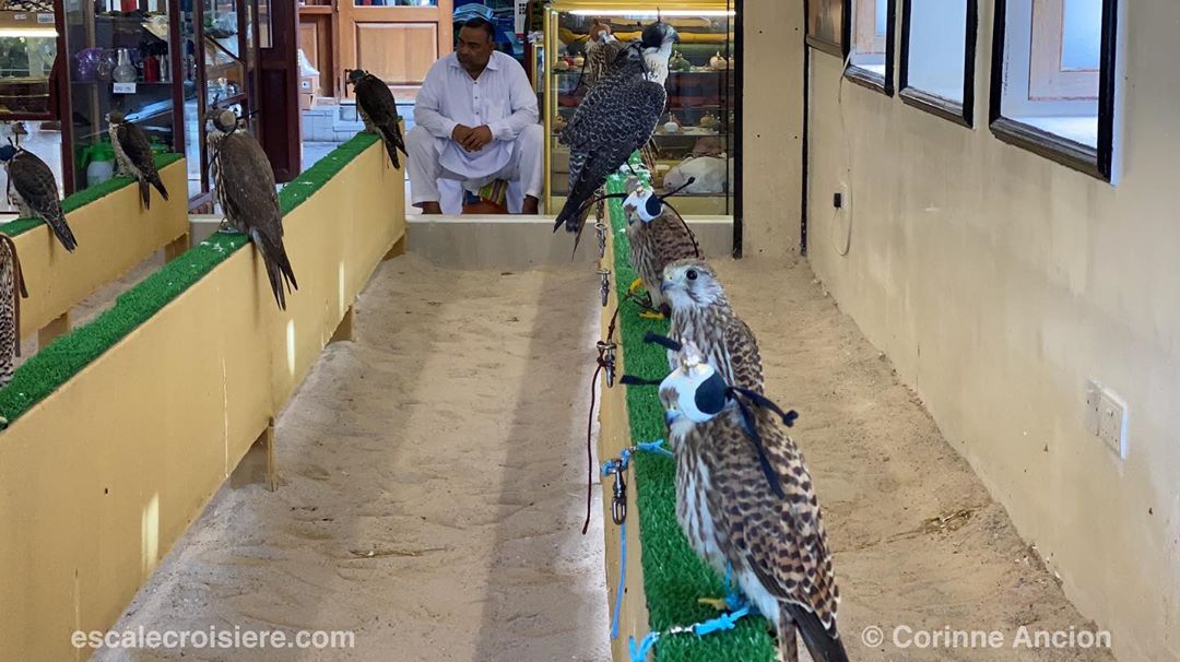 Souk Waqif - Doha - Qatar