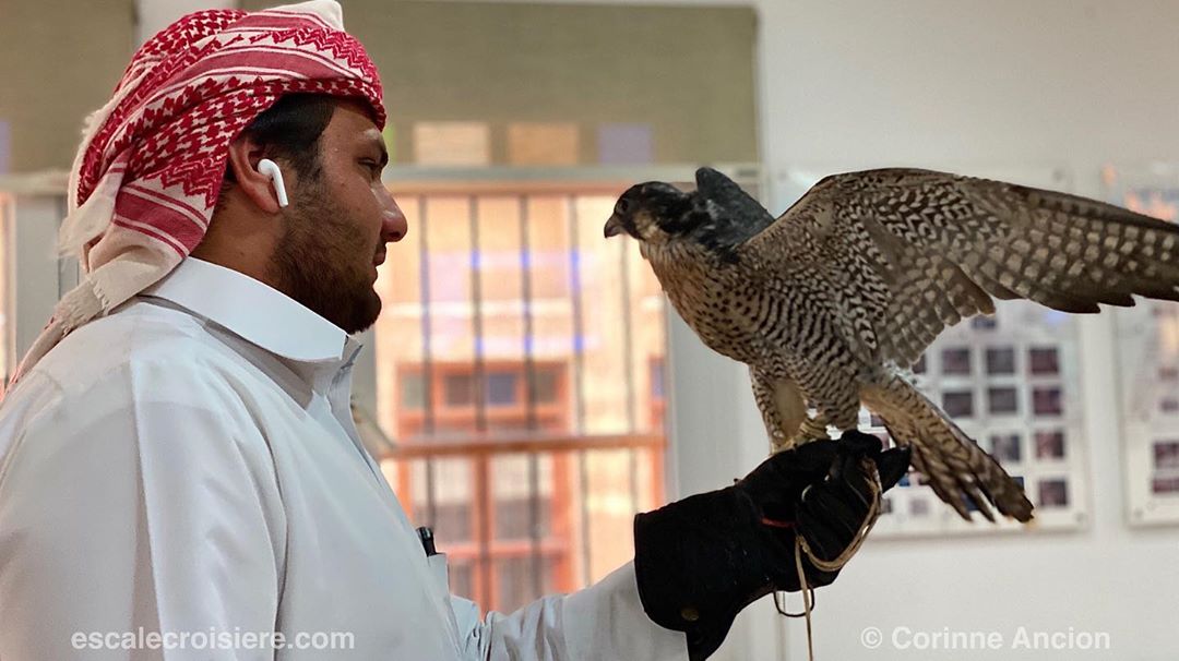 Doha - Qatar - Falcon hospital - Clinique faucons