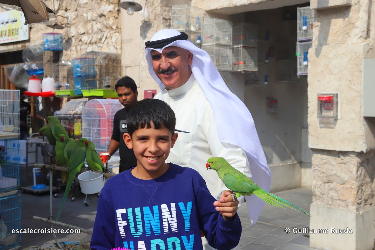 Souk Waqif - marché aux oiseaux - Doha - Qatar (8)