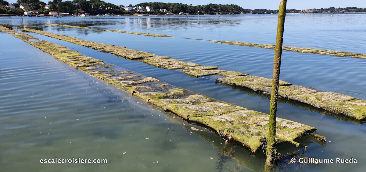 Golfe du Morbihan