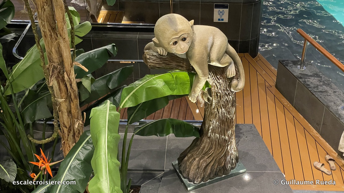 MSC Virtuosa - Tropical pool - Ping Pong