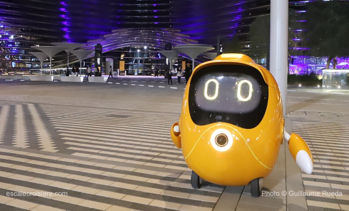 Expo 2020 Dubai - Opti mascotte
