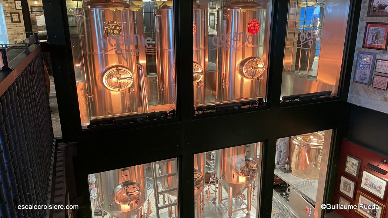 MSC World Europa - Bar à bière Masters of the Sea