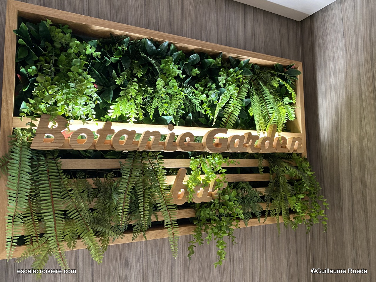 MSC World Europa - Botanic garden pool