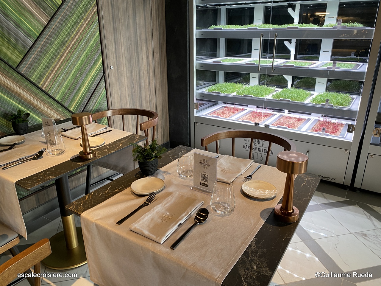 MSC World Europa - Restaurant Chef’s Garden Kitchen