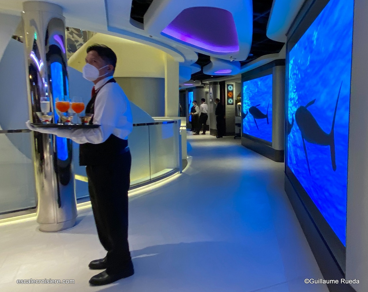 MSC World Europa - World Galleria