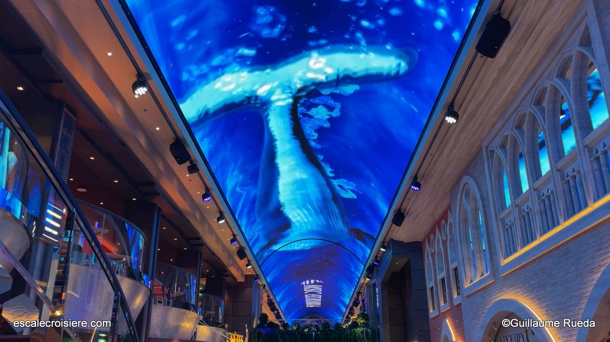 Galleria Euribia - MSC Euribia