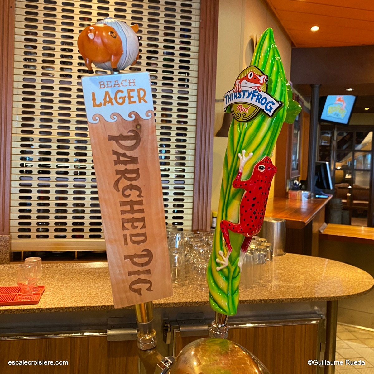 Carnival Legend - RedFrog Pub