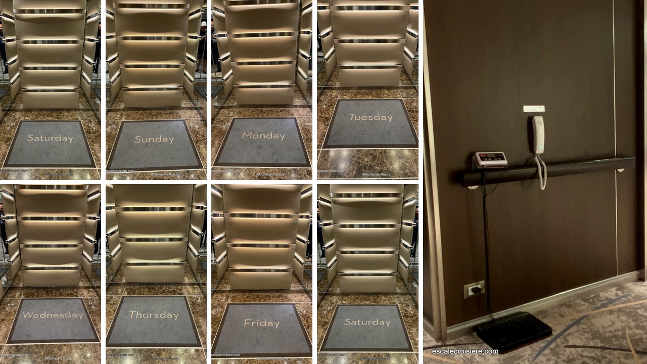 Tapis ascenseurs - MS Rotterdam - HAL