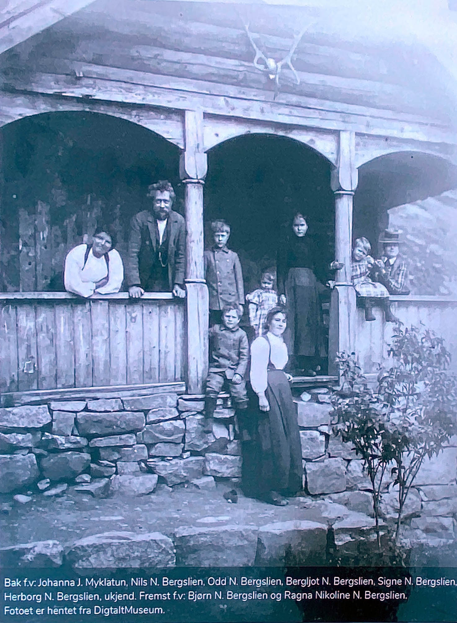 Bergsliskorane - Eidfjord - Norvège