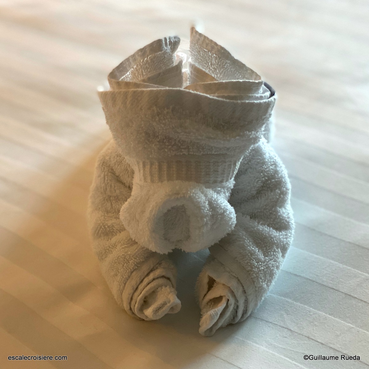 Cabine 10033 - MS Rotterdam