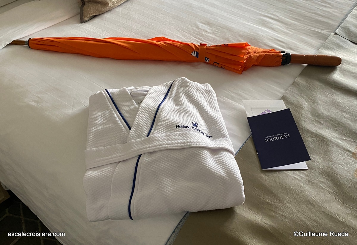 Cabine 10033 - MS Rotterdam