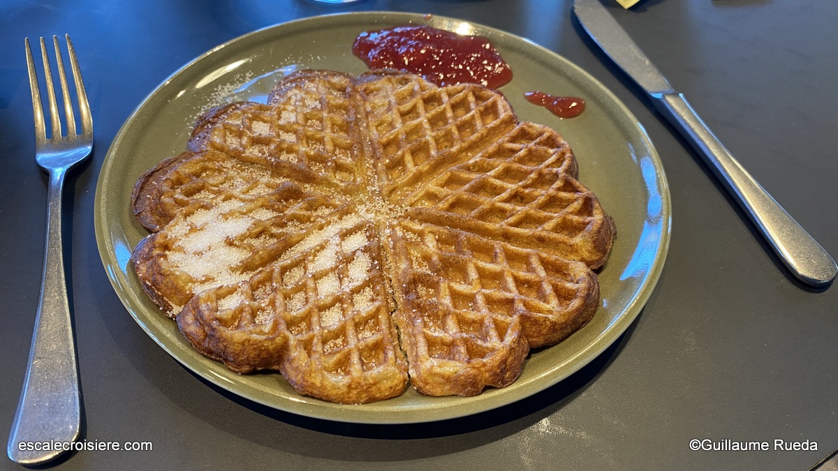 Station de Hangurstoppen - Norvège