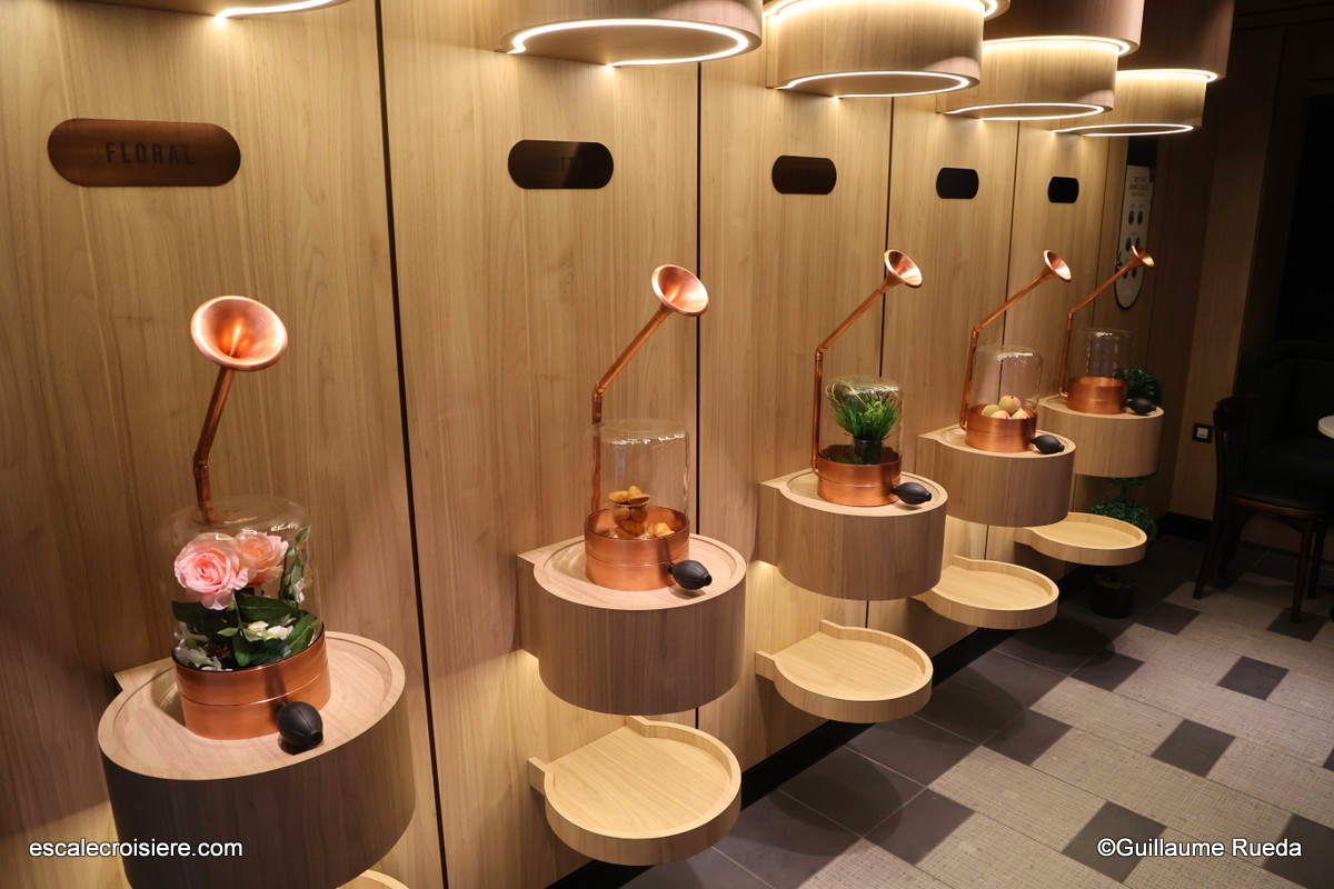 Café Emporium - MSC World America