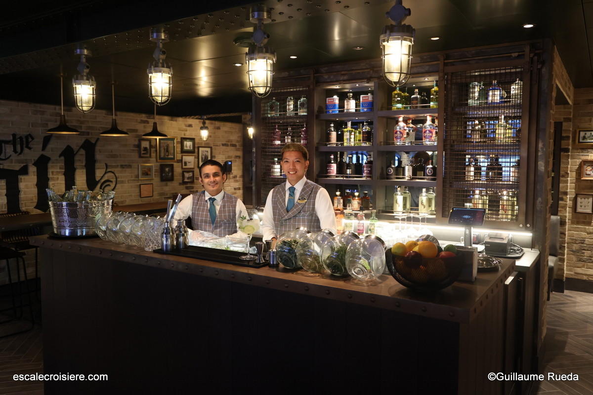 Gin bar - MSC World America