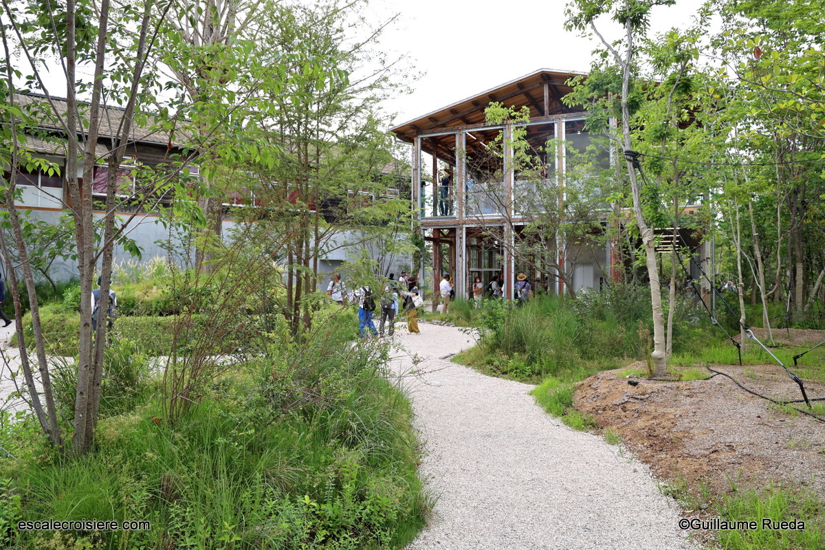 Osaka Expo 2025 - Forest of tranquility