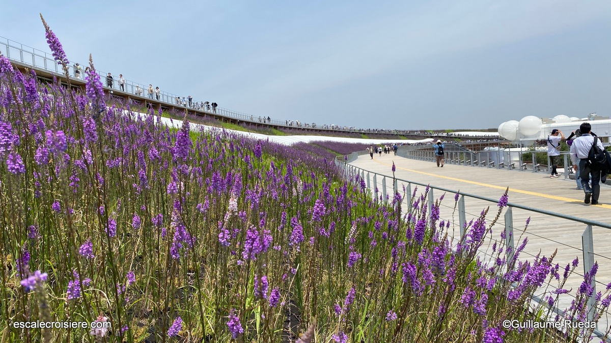 Osaka Expo 2025 - Ring