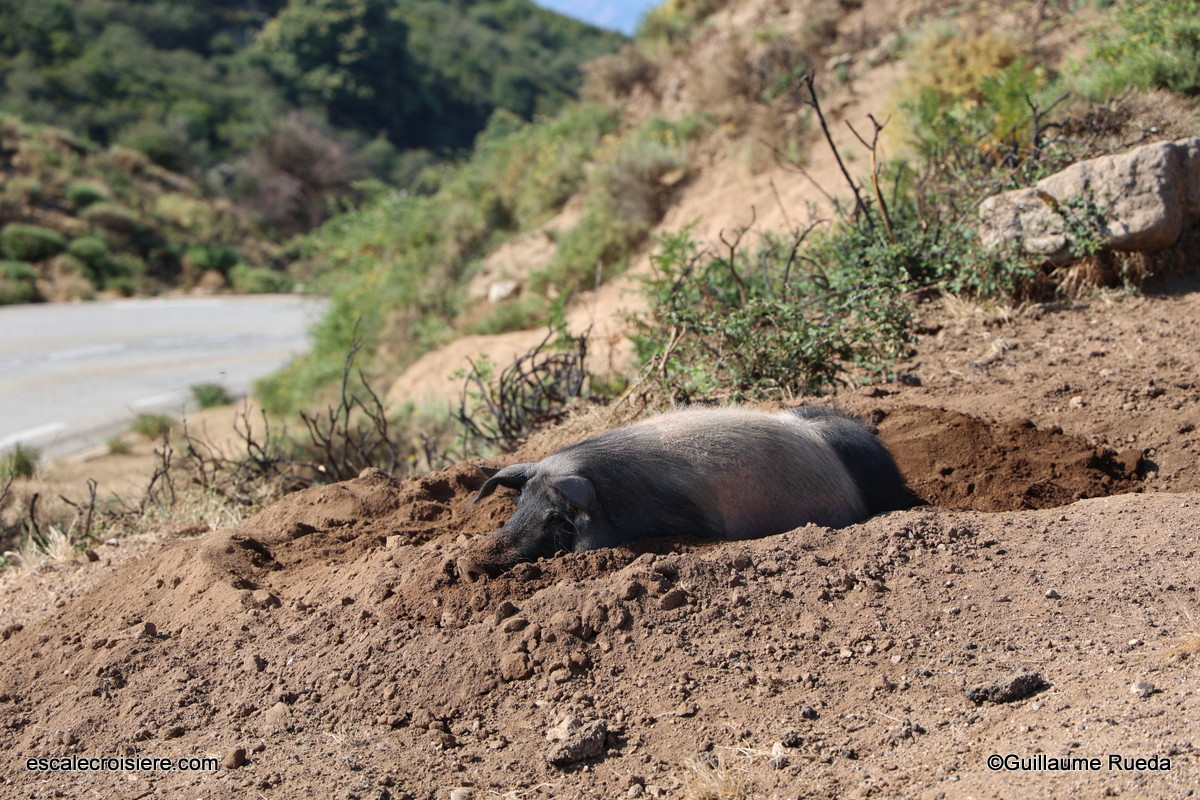 Montagnes Corse - LBO