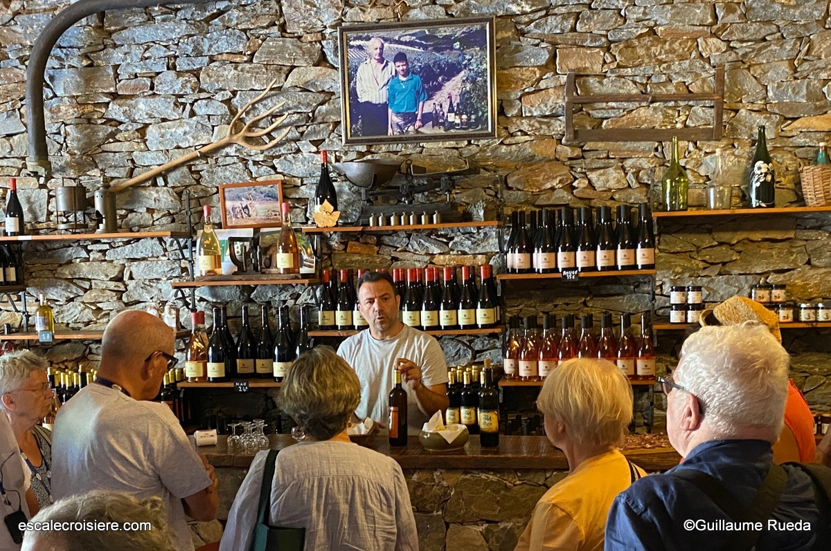 Dégustation de vins à Patrimonio - LBO