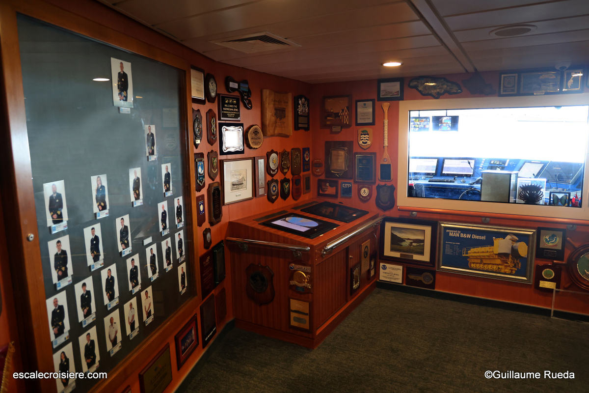 Norwegian Jewel - Viewing room (1)