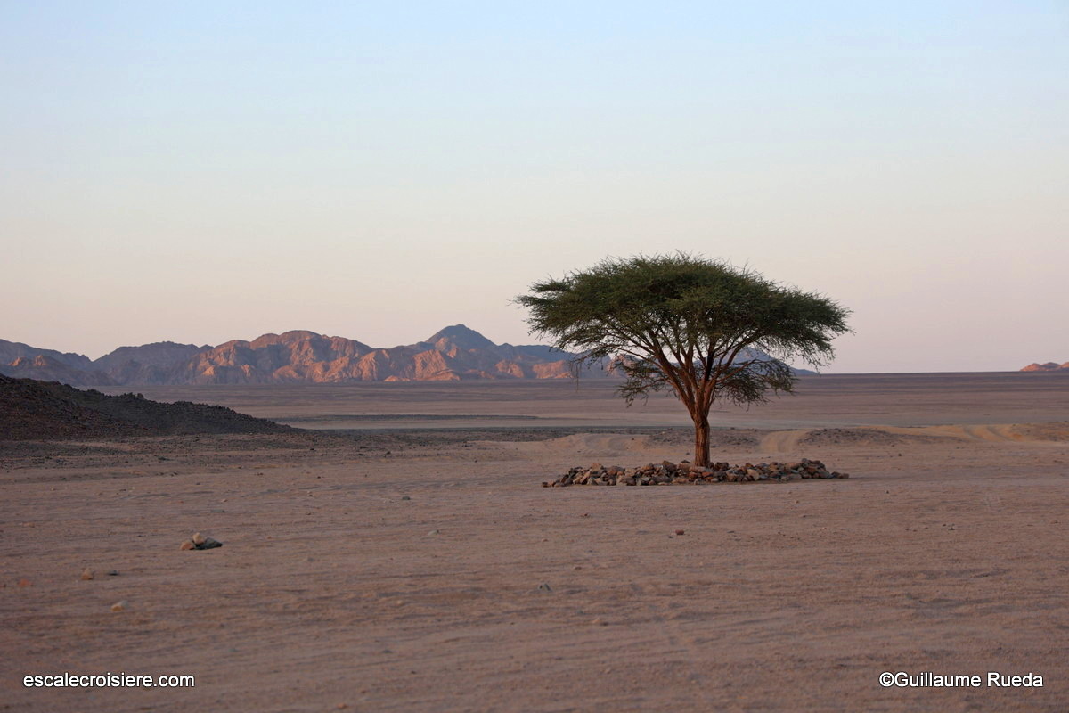 Experience Bédouins - Safaga - Egypte