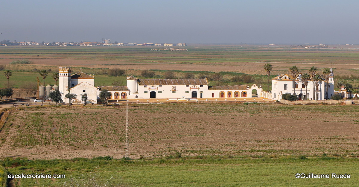 Ferme Guadalquivir - Séville