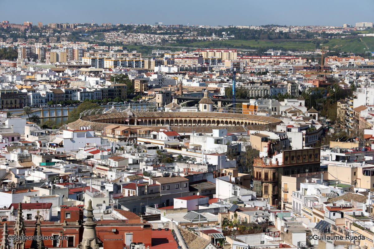 Arène : Plaza de Toros de la Maestranza vue depuis la Giralda - Séville