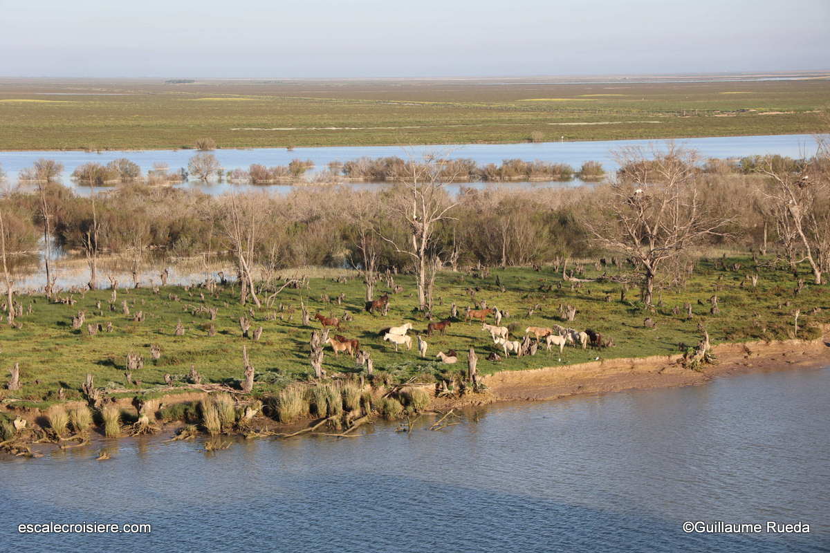 Navigation Guadalquivir - Azamara Journey
